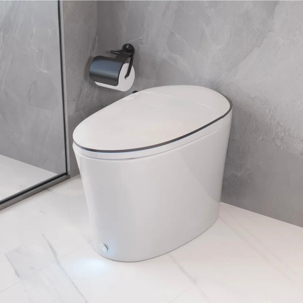 DeerValley Smart Toilet