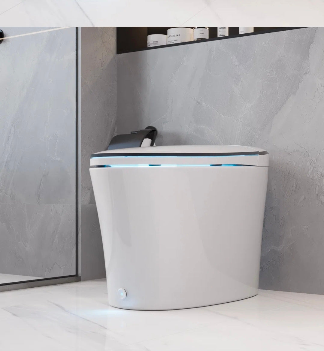 DeerValley Smart Toilet