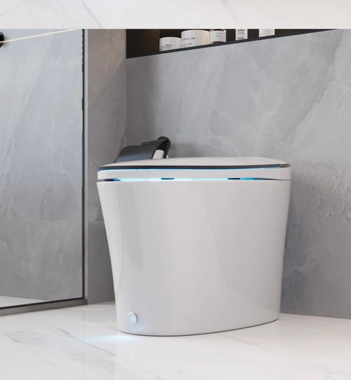 DeerValley Smart Toilet